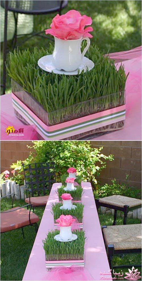 سبزه عید را خودتان سبز کنید !