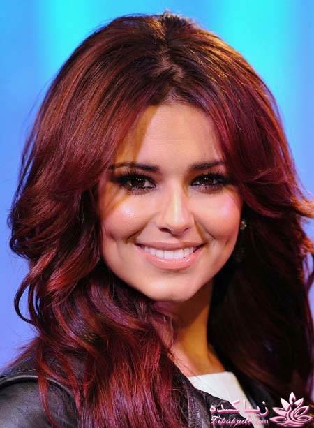 طرز تهیه رنگ موی  گیاهی