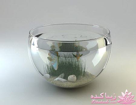 تزیین تنگ ماهی هفت سین