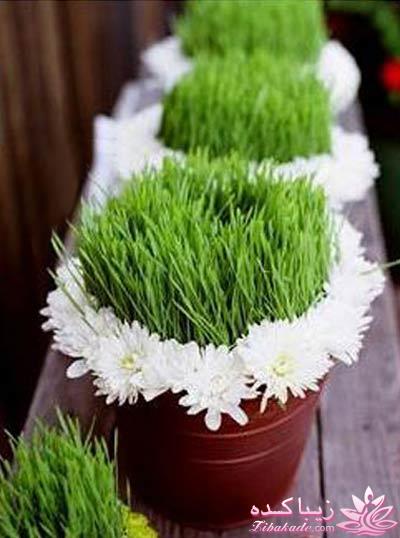 آموزش تزیین سفره هفت سین