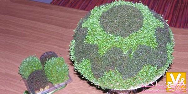 سبزه عید را خودتان سبز کنید !