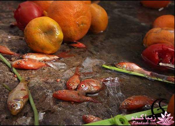 نظرتونو درباره ماهی قرمز شب عید بگین لطفا