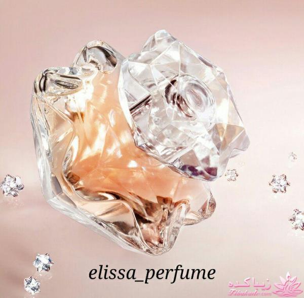 معرفی بهترین عطر و ادکلن ها