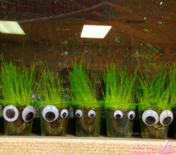 سبزه عید را خودتان سبز کنید !