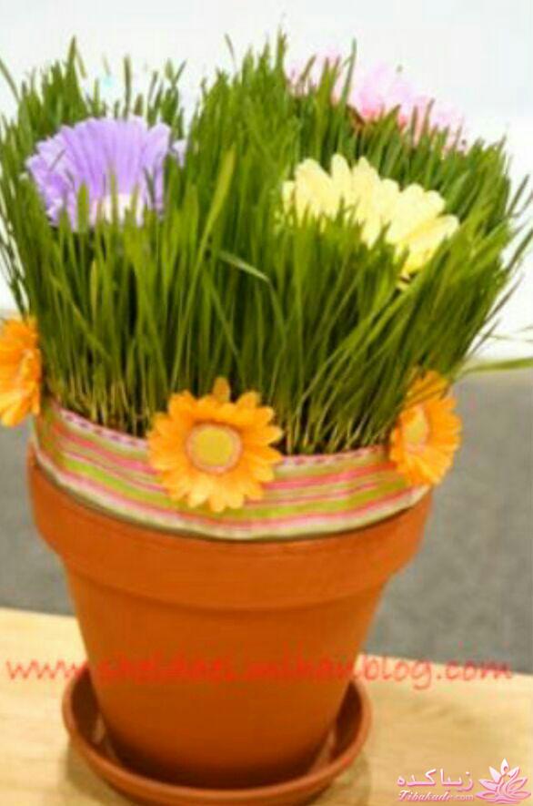 سبزه عید را خودتان سبز کنید !