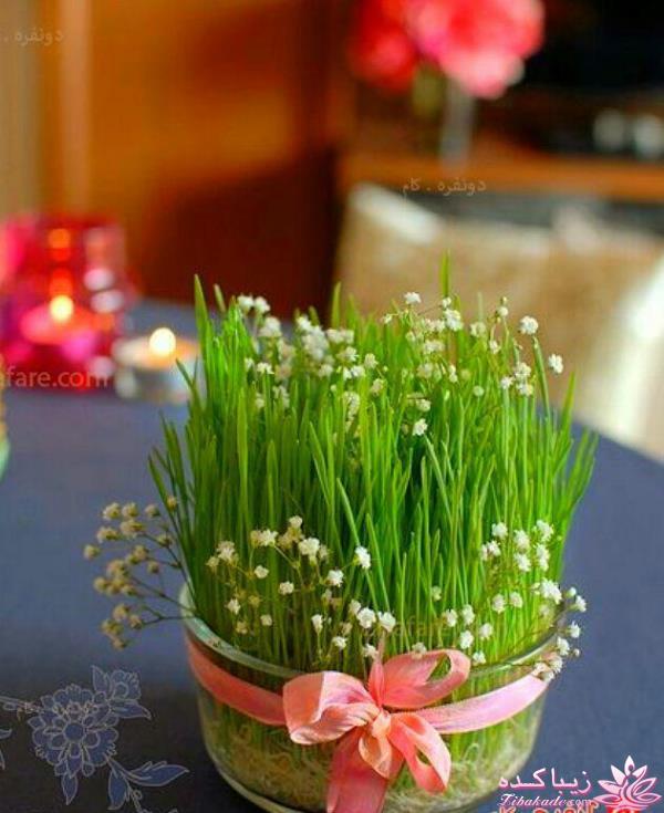 سبزه عید را خودتان سبز کنید !
