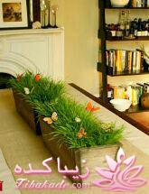 سبزه عید را خودتان سبز کنید !