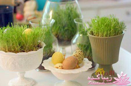 سبزه عید را خودتان سبز کنید !