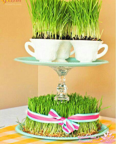 نمونه هایی از هفت سین های بسیار زیبا