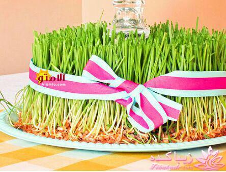 سبزه عید را خودتان سبز کنید !