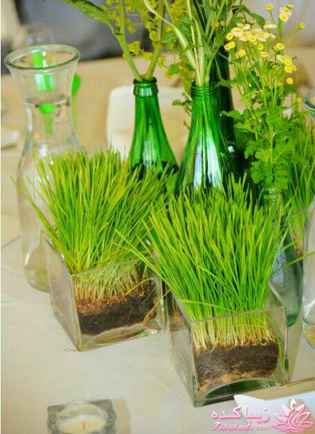 سبزه عید را خودتان سبز کنید !