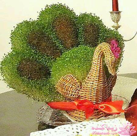 سبزه عید را خودتان سبز کنید !