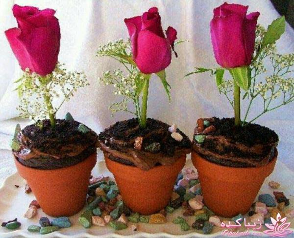 انواع دسر | انواع ژله