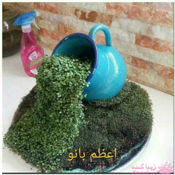 سبزه عید را خودتان سبز کنید !