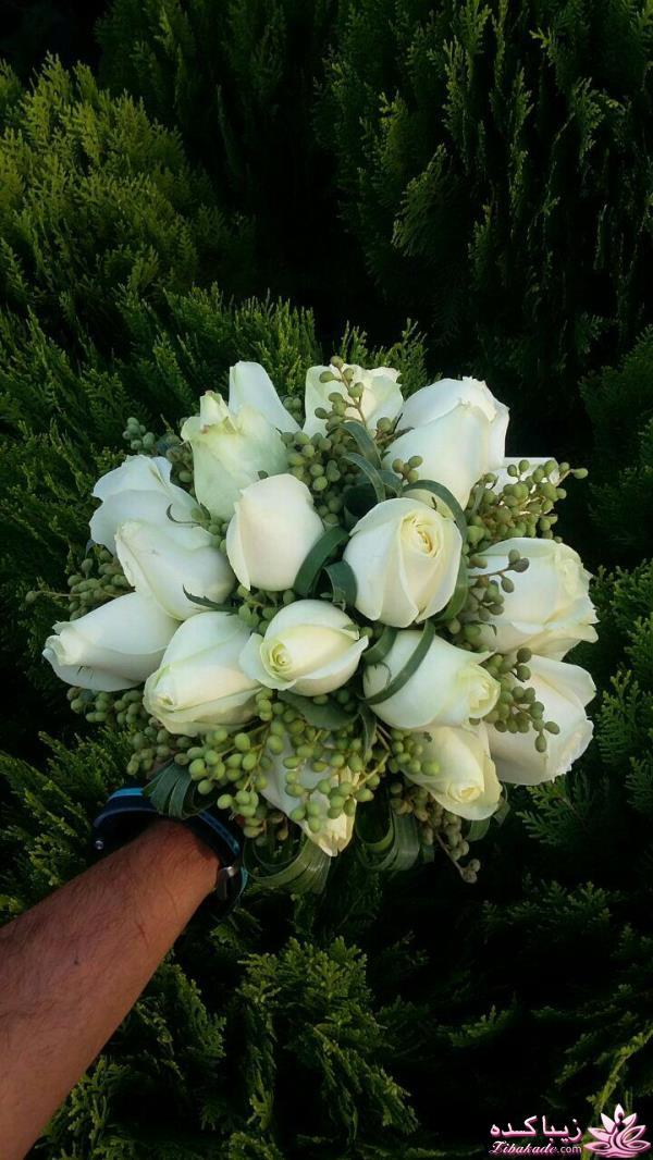 اتاق عقدهای زیبا / دسته گل عروس / ماشین عروس