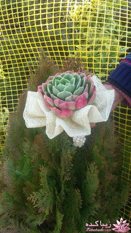 اتاق عقدهای زیبا / دسته گل عروس / ماشین عروس