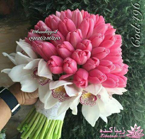 اتاق عقدهای زیبا / دسته گل عروس / ماشین عروس