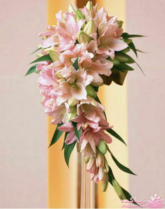 اتاق عقدهای زیبا / دسته گل عروس / ماشین عروس