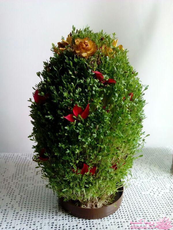 ایده ای زیبا برای سبزه ی سفره هفت سین