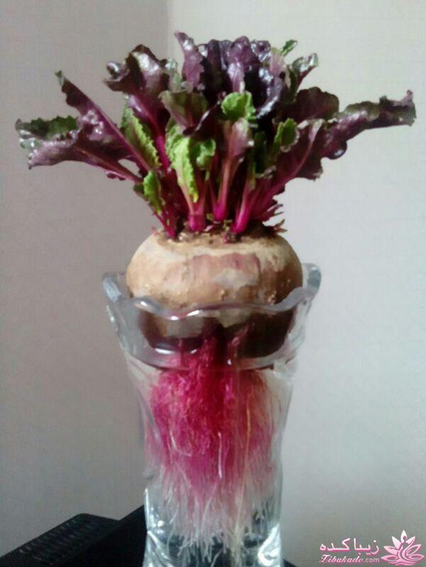 ایده ای زیبا برای سبزه ی سفره هفت سین