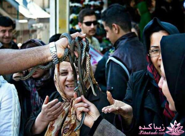 جـــــــــــــکـــــــ     جــــــــــالــــــــب