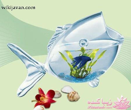 تزیین تنگ ماهی هفت سین