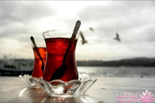 كافه گفت وگو ...