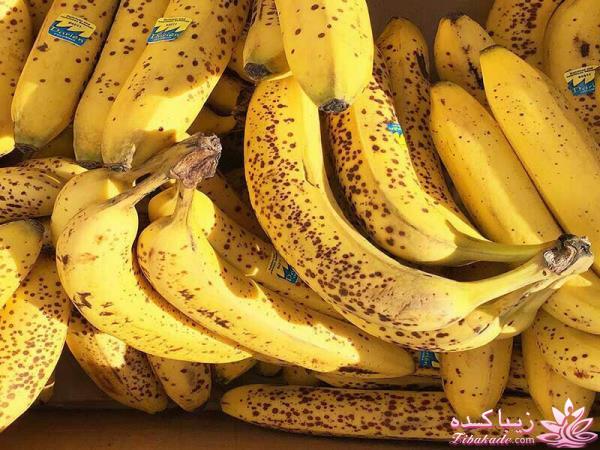 اینفوگرافی تغذیه