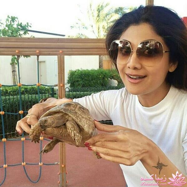 اخبار و عکس های بالیوود| لینک های دانلود