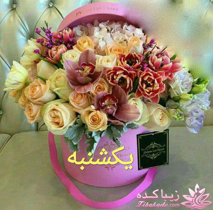 كافه گفت وگو ...