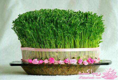 سبزه عید را خودتان سبز کنید !