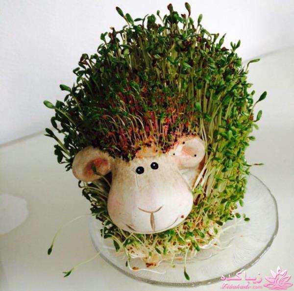 سبزه عید را خودتان سبز کنید !