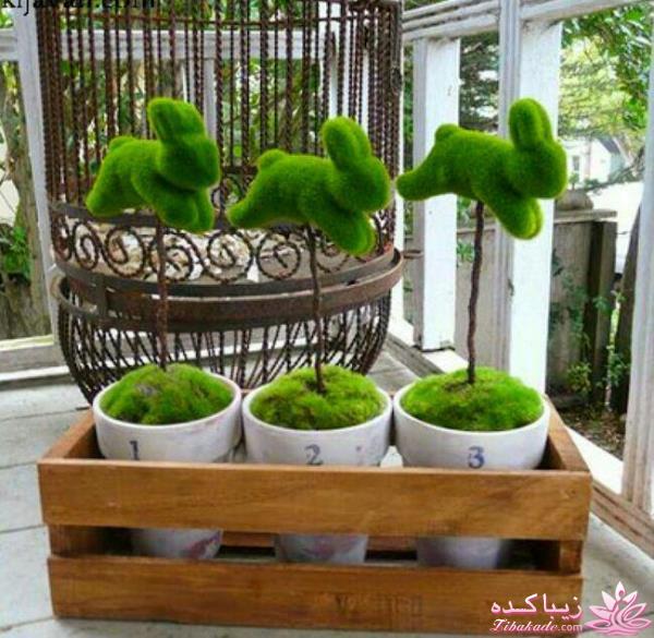 سبزه عید را خودتان سبز کنید !