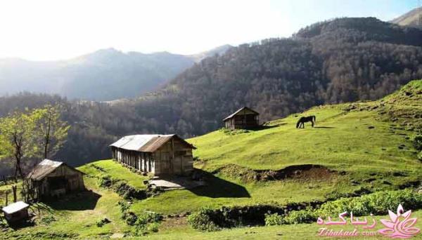 یک جای قشنگ در شمال