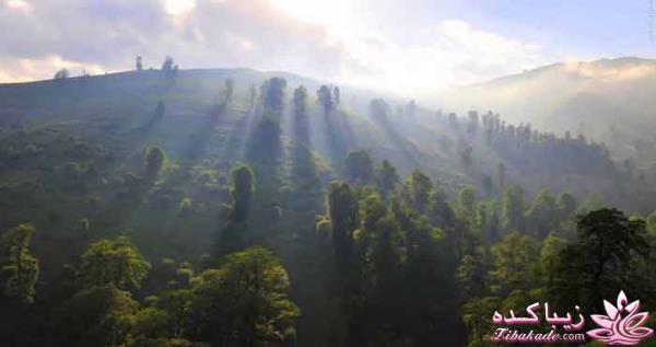 یک جای قشنگ در شمال