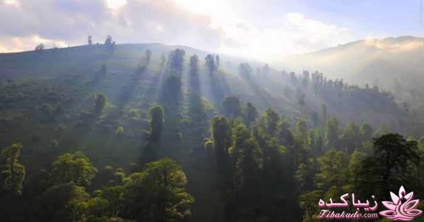 یک جای قشنگ در شمال