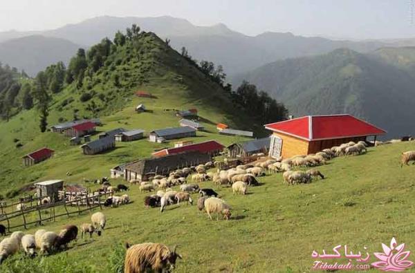 یک جای قشنگ در شمال