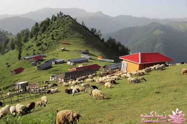 یک جای قشنگ در شمال