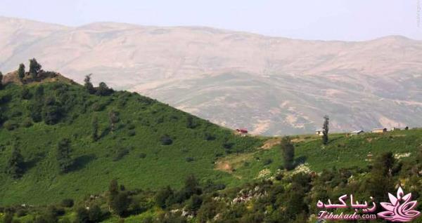 یک جای قشنگ در شمال