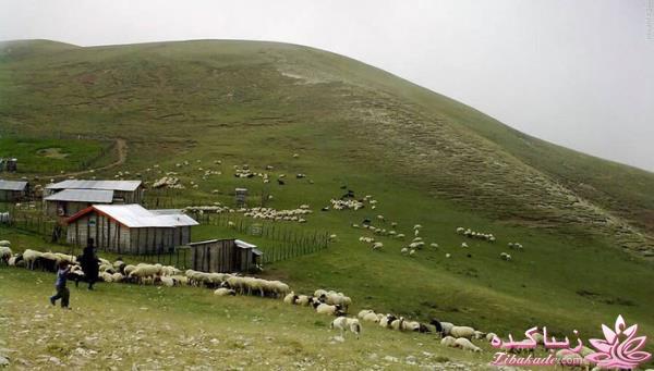 یک جای قشنگ در شمال