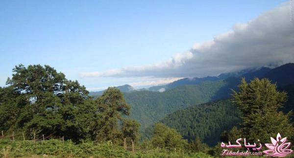 یک جای قشنگ در شمال