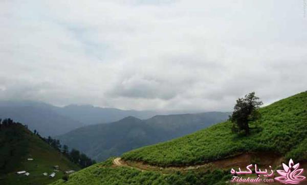 یک جای قشنگ در شمال