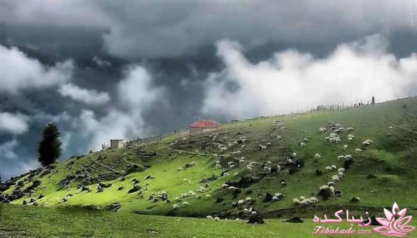 یک جای قشنگ در شمال