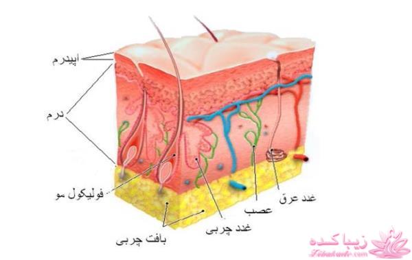 مرکز زیبایی ابریشم نقره ای