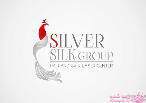 مرکز زیبایی ابریشم نقره ای