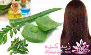 برای تقویت و پرپشت شدن موها این 3 ماده را به شامپویتان اضافه کنید