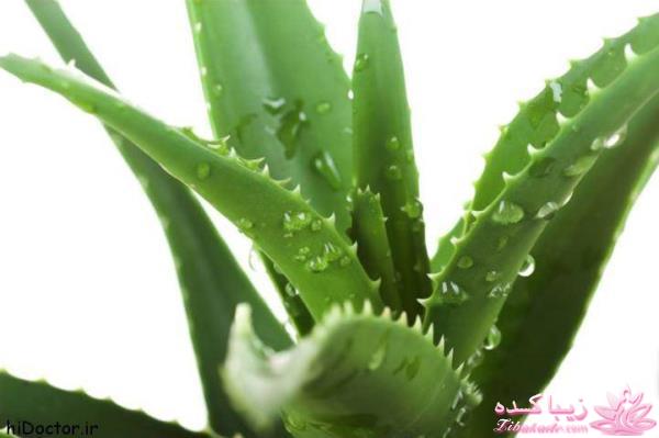 با این ترفند ها حرفه ای آرایش کنید