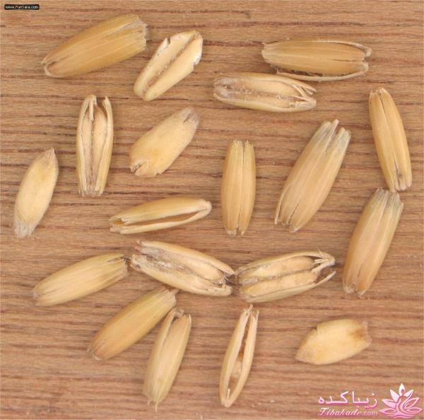 ترکیبهای خانگی و موثر برای از بین بردن موهای زائد