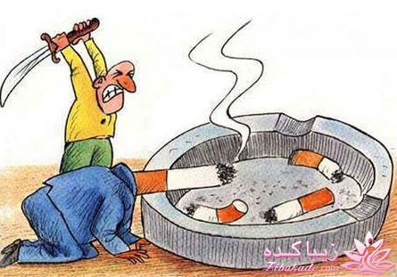 لطفا قبل از مردن نمیرید!