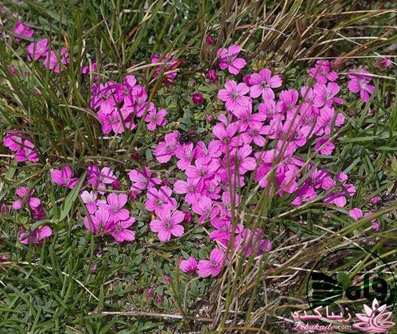 مناسب ترین ها و نامناسب ترین ها
